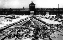 auschwitz.jpg