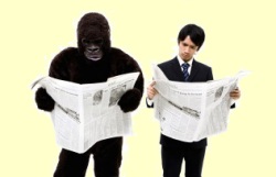 The Invisible Gorilla